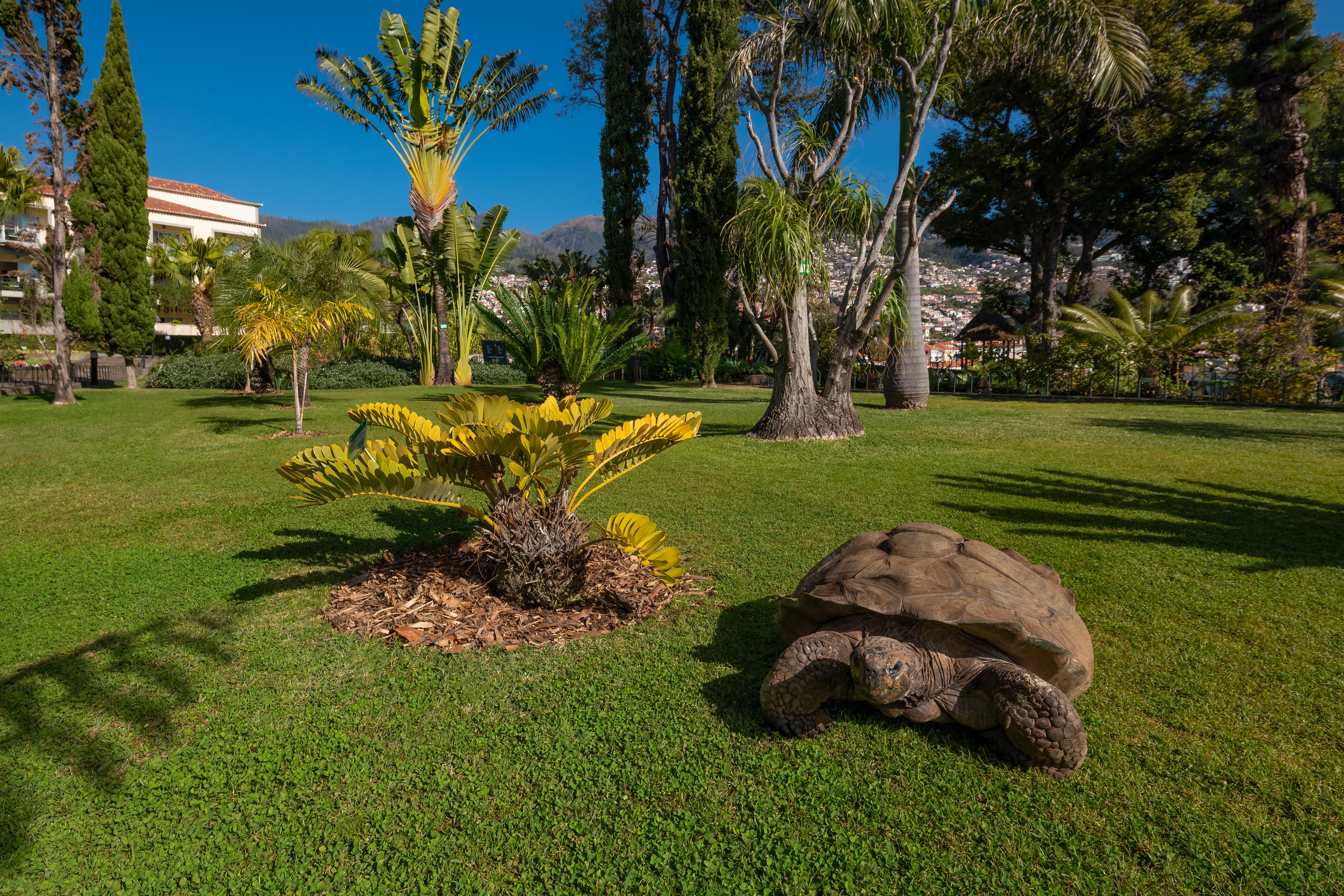 Quinta Jardins Do Lago Funchal  Exterior photo